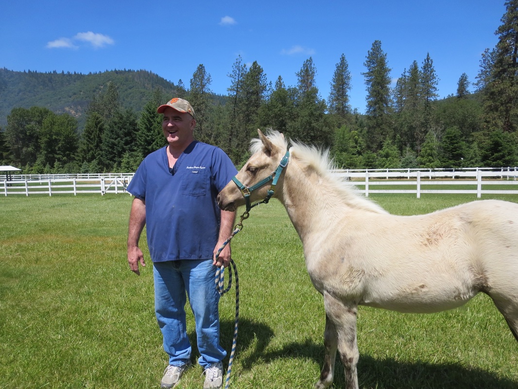 Star Valley Ranch, We feed only high quality Klamath hay as well as supplements developed especially for broodmares and foals. We work closely with our veterinarian, Dr. Bill Bridges, to make sure each of our mares and foals is receiving optimal nutrition to promote a long and productive life.